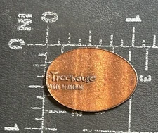H-E-B Science Treehouse of the Witte Museum San Antonio Elongated Pressed Penny