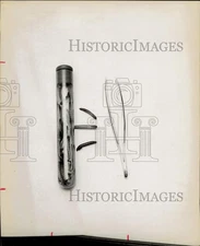 1968 Press Photo Meal Worms Insects in Test Tube with Tweezers - hpa11877