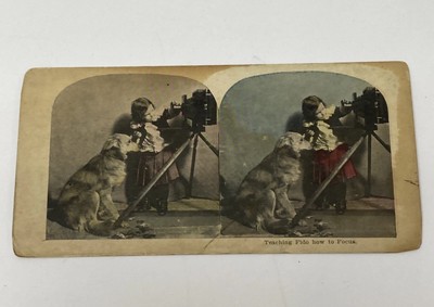 Vintage Stereoview Stereoscope Card TEACHING FIDO HOW TO FOCUS Girl And Dog