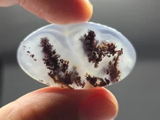 53,40 Ct Red Moss Agate Landscape 41*25*7 Mm