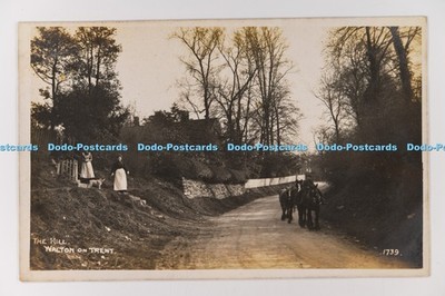 C031564 Walton on Trent The Hill J S Simnett Burton on Trent 1907