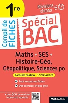 Spécial Bac Compil de Fiches Maths-SES-Histoire-Géo... | Buch | Zustand sehr gut