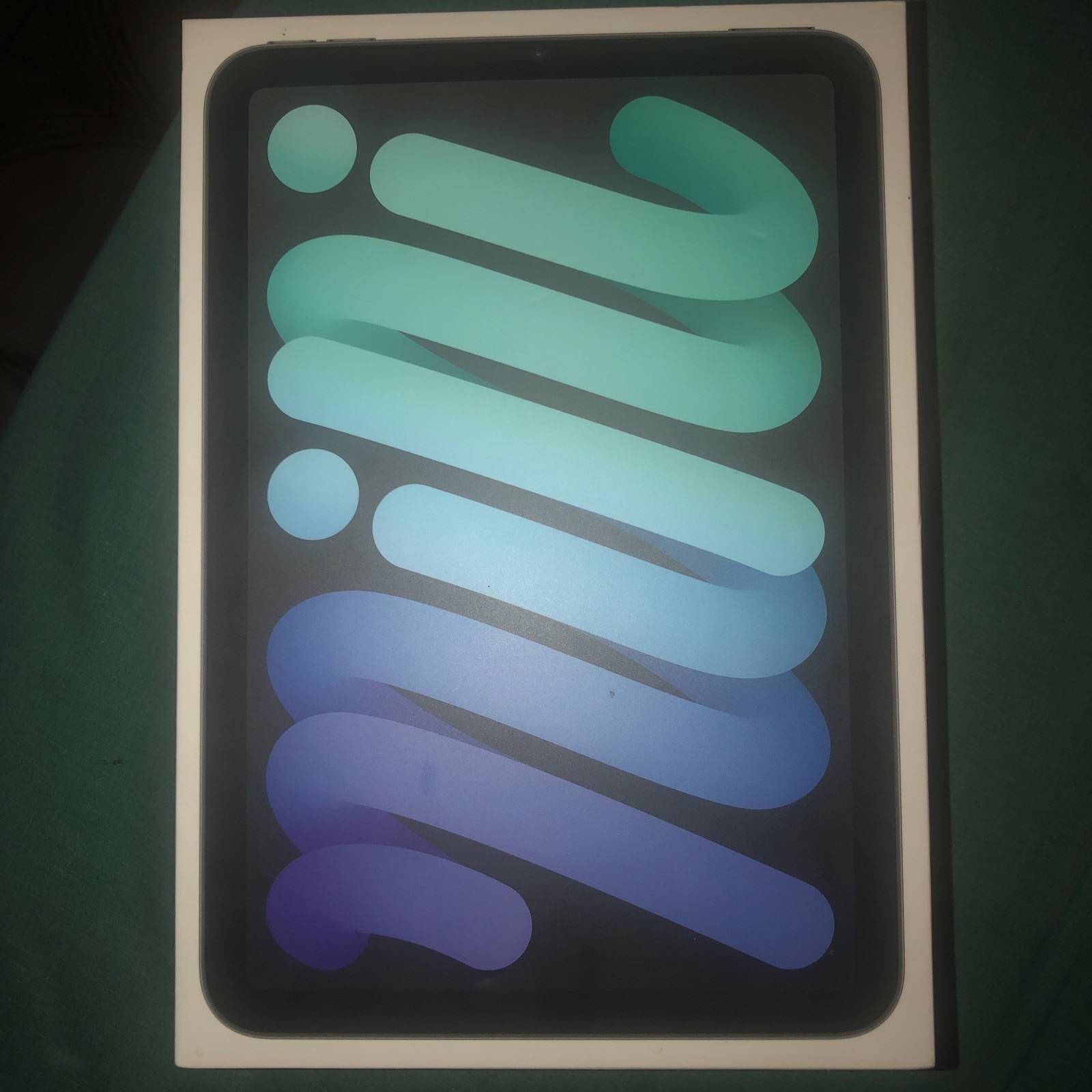 iPad Mini (6th Generation) 64GB