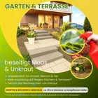 Bild 7 von 7