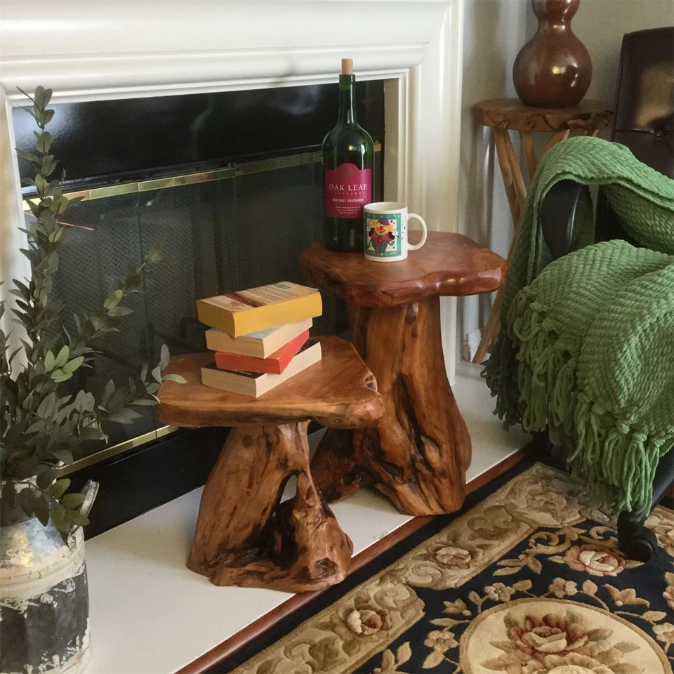 Natural Irregular Shape Tree Stump End Table Plant Stand, 14"x13"x18"H - Image 2 of 4