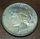 1925 Peace Silver Dollar UNCIRCULATED
