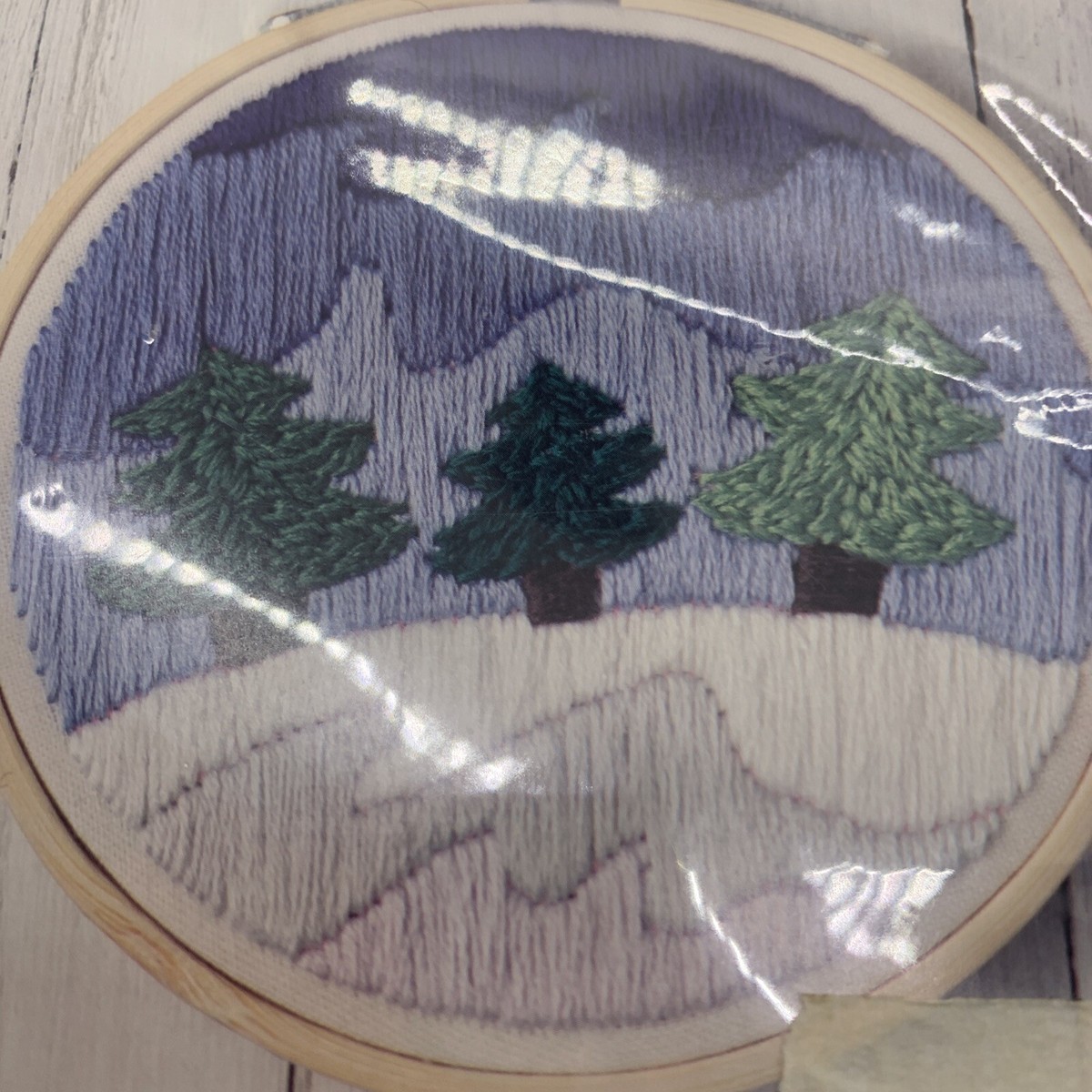 Kit De Broderie 'Forêt Enneigée' Leisure Arts - Projet à Finir En Un Week-end - Idée Cadeau Créative