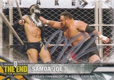 2017 Topps WWE NXT Wrestling Cards 23