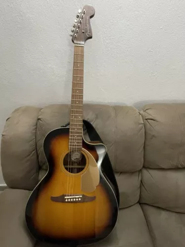 Fender newporter