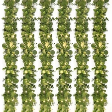 Dolicer 6 Packs 6FT Artificial Eucalyptus Garland with LED Light String, Faux...