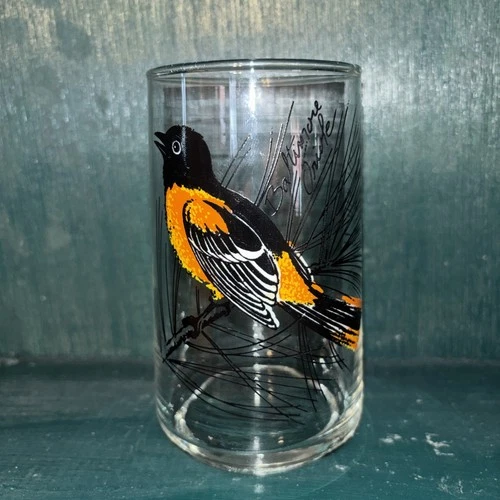 Vintage Anchor Hocking Songbird Bird Drinking Glass Baltimore Oriole