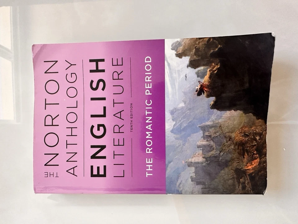 The Norton Anthology of English Literature 10th Edition - Paperback (D, E, F) Foto 4 de 4