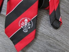 Buckinghamshire New University Striped Polyester Tie by Woven