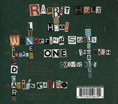Rabbit Hole by Gledhill, Mindy (CD, 2019 Digipak) New Sealed Ships