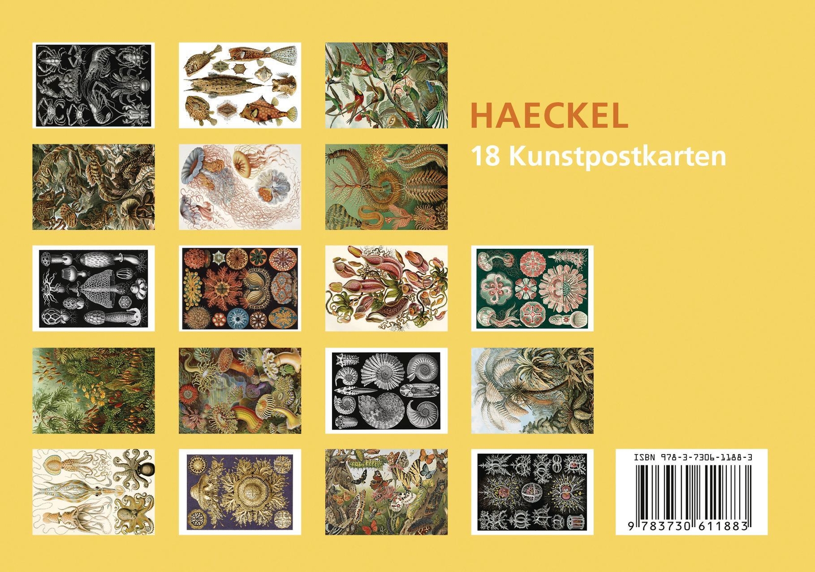 Thumbnail - Postkarten-set Ernst Haeckel | Ernst Haeckel | 18 Kunstpostkarten |