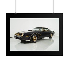 1976 Pontiac Trans Am 1 Photo Art