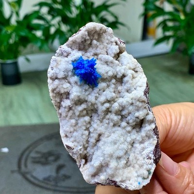 165G High Quality Sparkling Cavansite, Gorgeous Blue Specimen from India