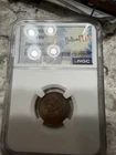 1909 1cent Ms-64 Bullion Plus