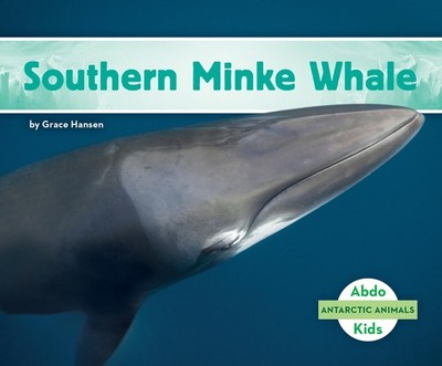 Southern Minke Whale (Antarctic Animals)