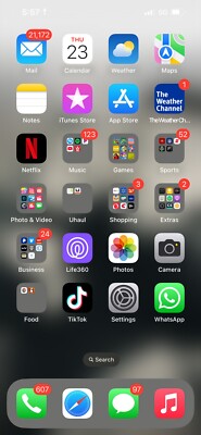 iPhone 13 Pro Max With TikTok & CapCut  Installed