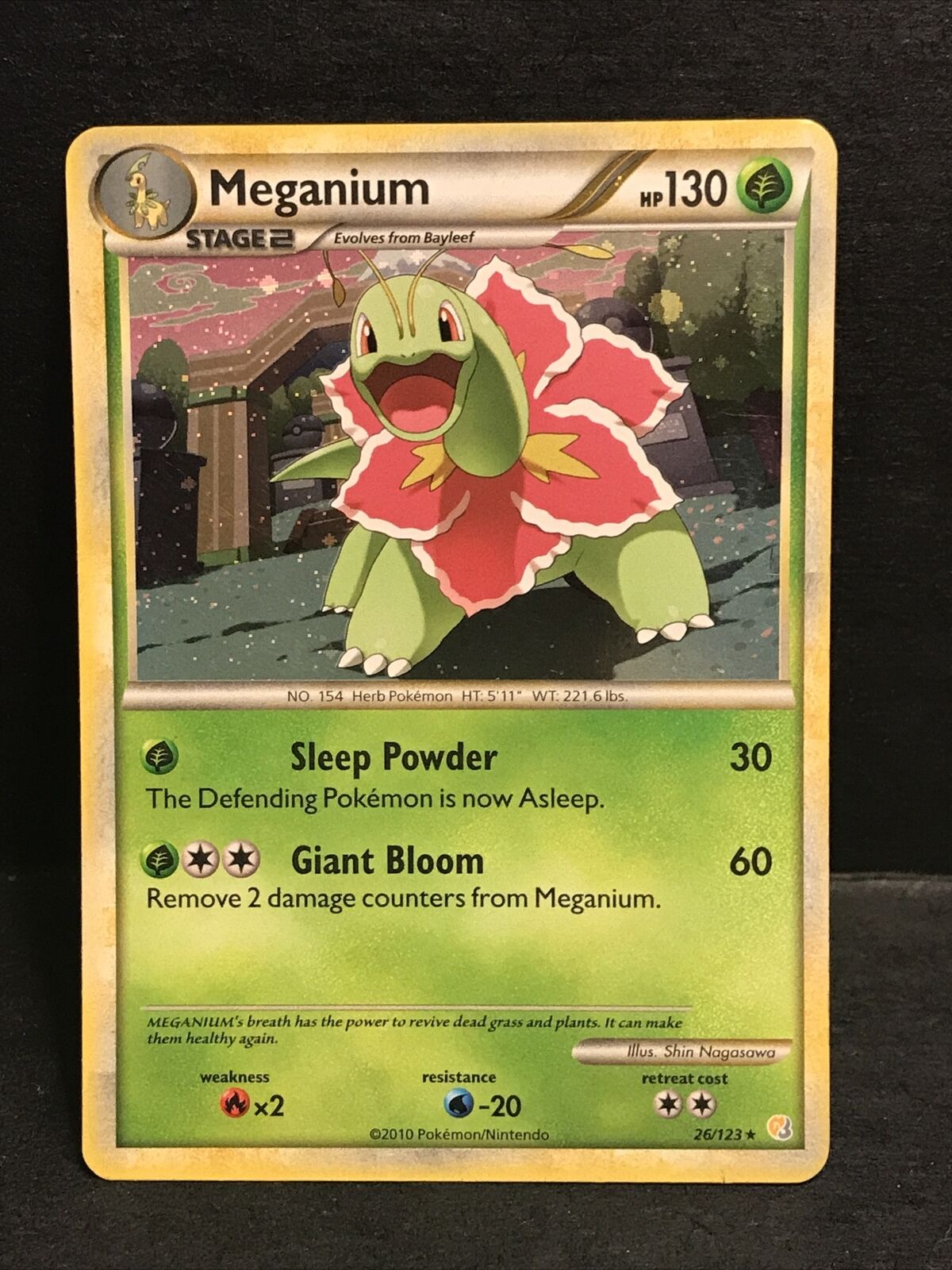 Portal De Pokemon Online: Meganium