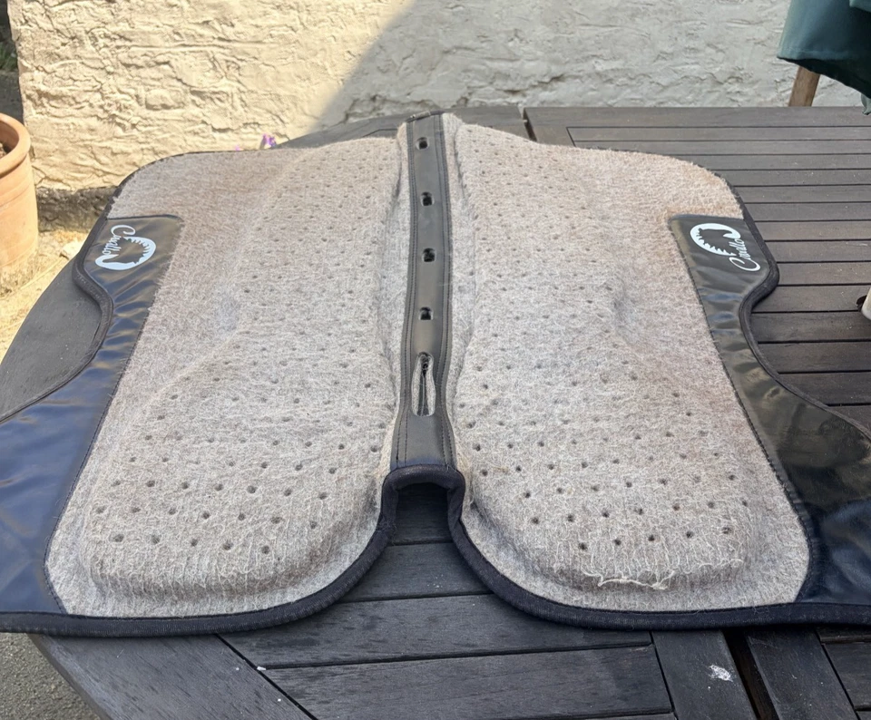 Cavallo Western Memory Foam Pad (Length 31.5 inches, Depth 16 inches) - Image 1 of 2