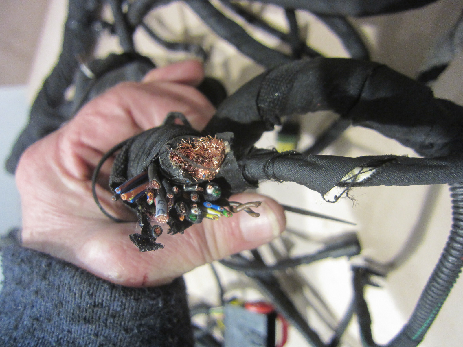 Ferrari 458 -  Front Main Cables / Wiring Harness-  P/N 288057