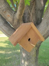 Wren Birdhouse, Cedar and Copper, Made in USA