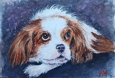 Original  Small Watercolor Painting   6" x 4"  Little Dog NOT A PRINT