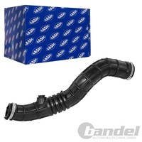 Sasic Ladeluftschlauch Turboschlauch Passend FüR Renault Clio Modus | 3334033