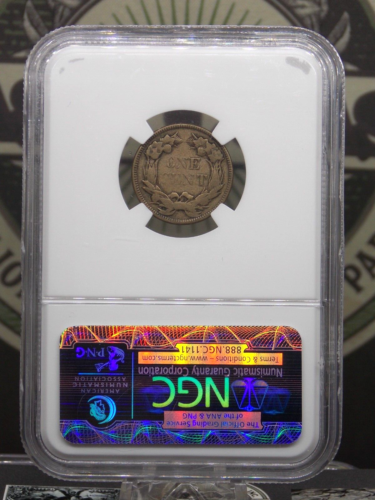 1858 Flying Eagle Cent *LARGE LETTERS* 1c NGC VF30 #057 Very Fine *STACKS* ECC&C - Picture 4 of 5