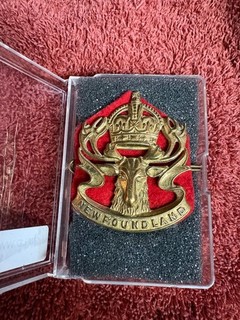 newfoundland regiment cap badge ww2 case included
