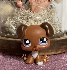 🌸Petshop CHIEN Boxer Chiot