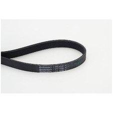 Continental-Ctam Keilrippenriemen 24747643 11720JD700 119202462R