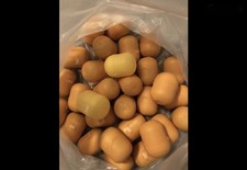 40 Leere Ü - Eier Kapseln, Verschiedene Farben, Gereinigt Und Unbenutzt, Neu