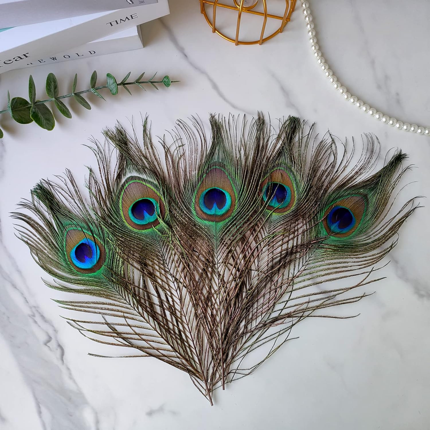 12Pcs Peacock Feather Natural in Bulk 10-12 Inch 25-30Cm for Craft Vase Wedding