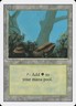 MTG Forest Revised 304 Regular Common LP