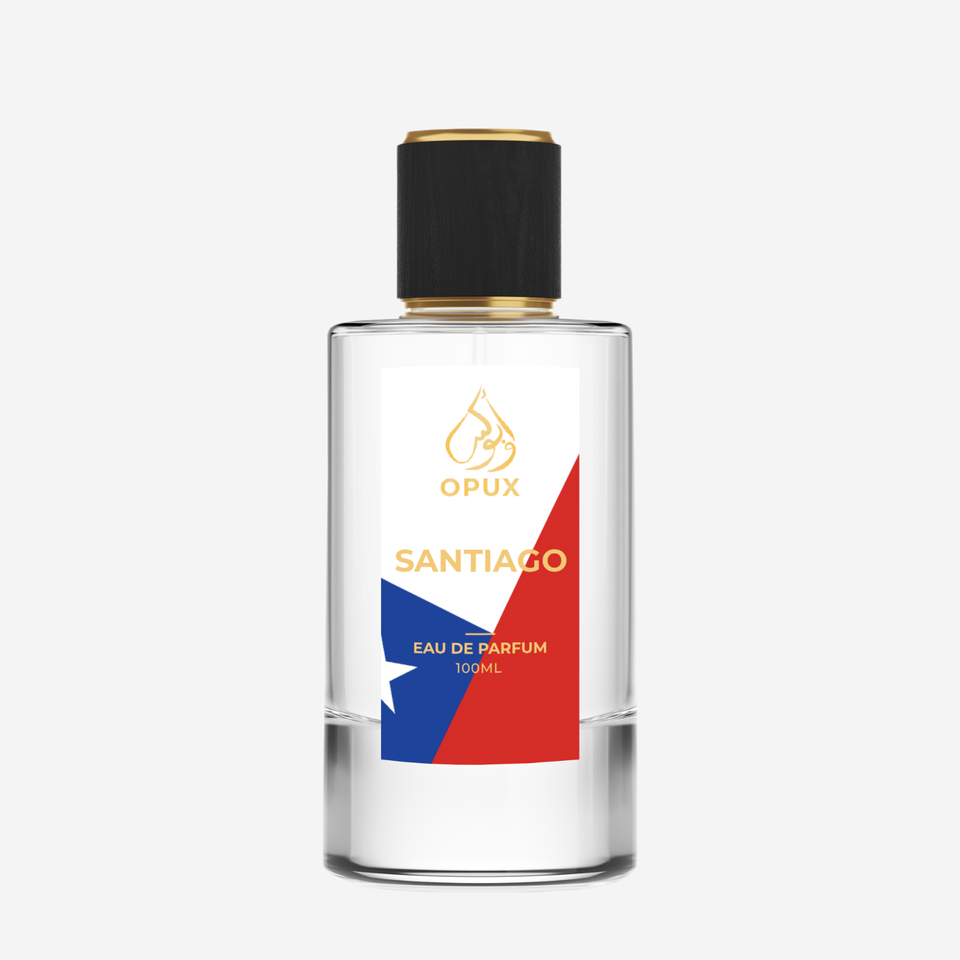 Sauvage Alternative Fragrance Eau De Parfum 50ML/100ML eBay