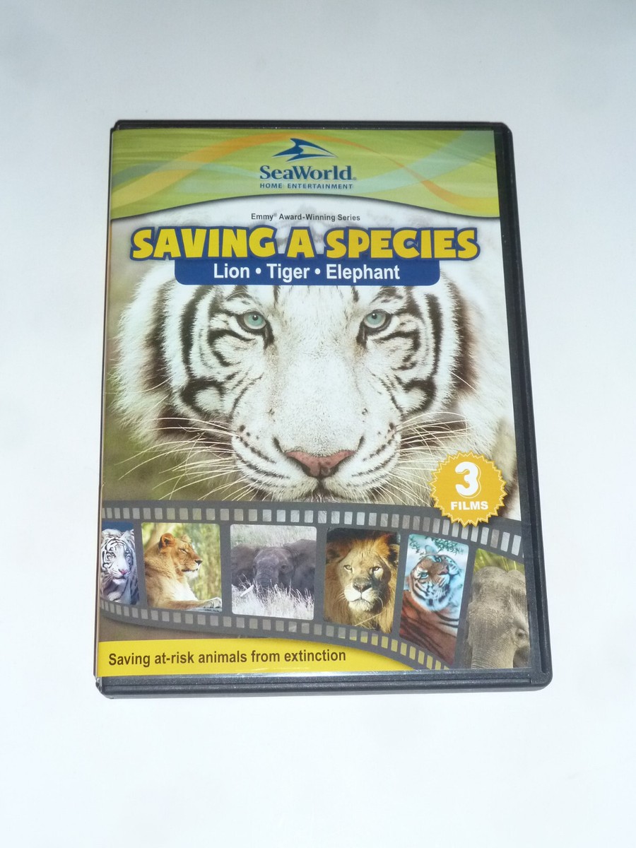 その他 Wildlife: Raccoon Mountain Lion Fishing Animals [DVD] El Gato 2 – Hunting Mountain Lions - The Big Cat - Arizona Elk