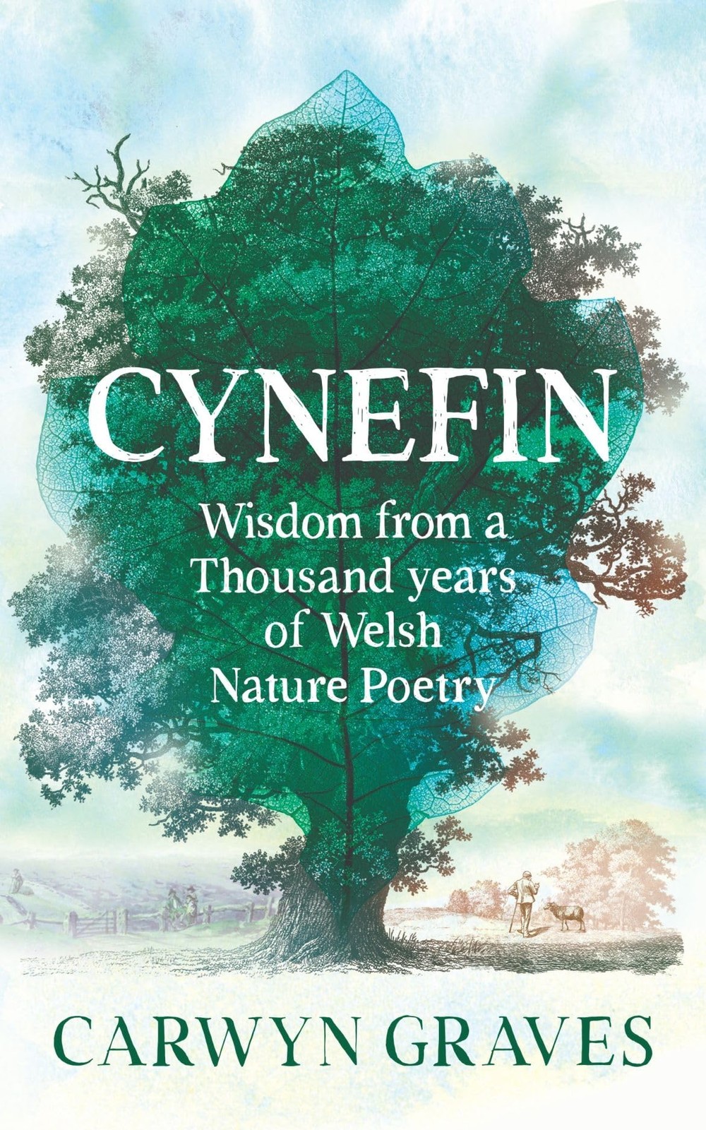 Cynefin by Carwyn Graves (Hardback Book) - Image 6
