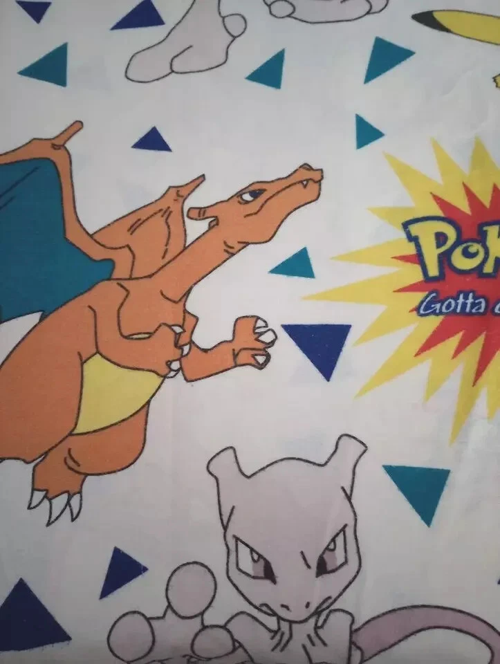 anime pokemon charizard twin bed sheet fun fabric flannel flat gently used - Image 2 of 3