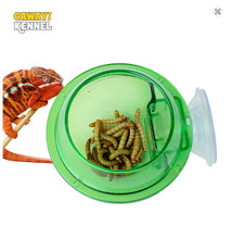 Arboreal Reptile Anti-escape Sucker Feeder Chameleon Wall Bowl Small Animal