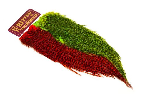 Whiting Farms Coq de Leon Predator Pack - Imagen 3 de 8