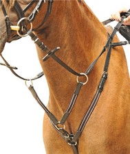 Leder Vorderzeug und Martingal mit elastischem Einsatz und silberfarbenen Besätz