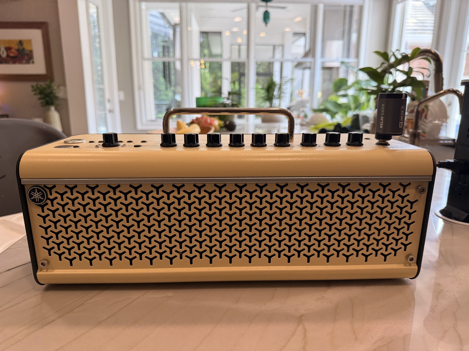 Yamaha THR30IIWL Wireless Guitar Amplifier Head (Plus Free Line 6 Relay)