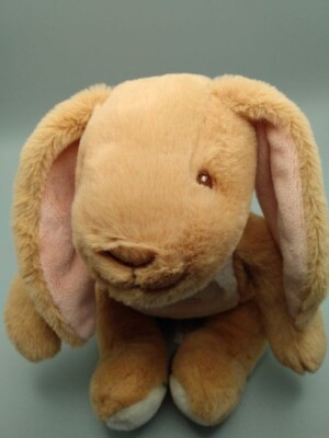 Bunny Rabbit Guess How Much I Love You Right Up To The Moon And Back Plush Lovey