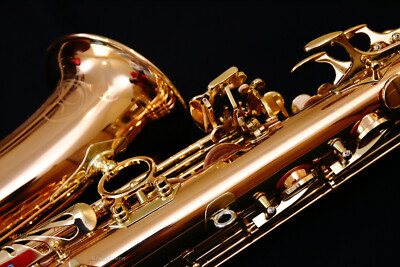 🔥NEW 2026 Yanagisawa A-WO20 (AWO20) Elite Bronze Alto Saxophone