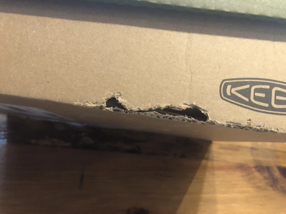 Botas de nieve KEEN Winterport Neo para niños pequeños impermeables aisladas grises talla 8 Foto 3 de 3