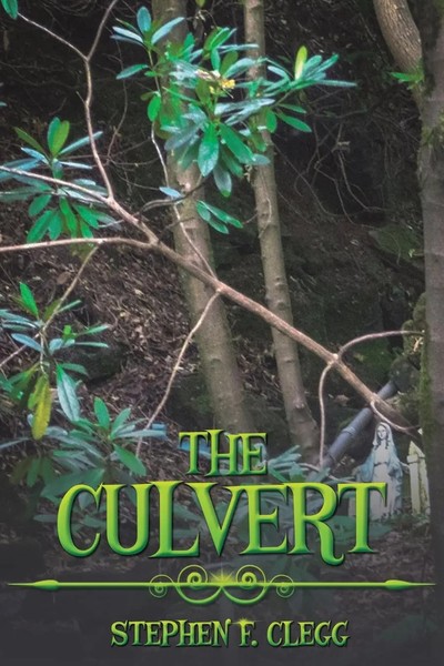 Stephen F. Clegg | The Culvert | Taschenbuch | Englisch (2025) | Austin Macauley-image