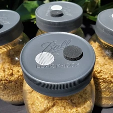 1lb sterilized Grain Jars Mushroom Grow